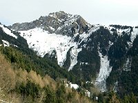 2014-01-09 14.46.43  9 Jan - looking boney on the slopes of Rochers de Naye